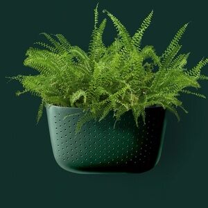 WallyGrow Eco Forest Wall Planter
